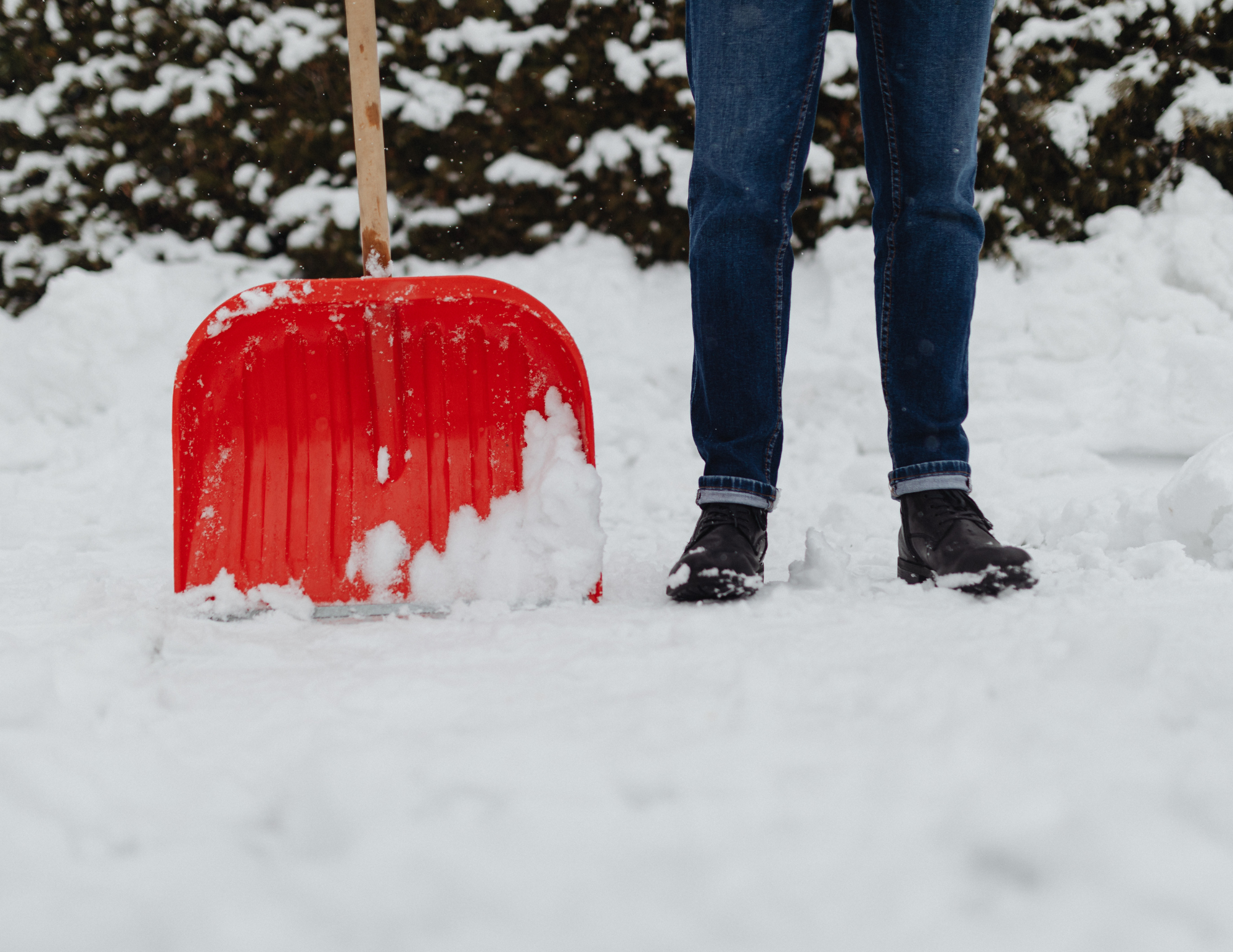 Snow shovel image